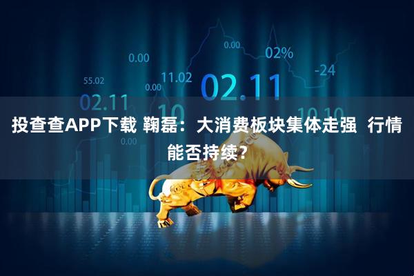 投查查APP下载 鞠磊：大消费板块集体走强  行情能否持续？