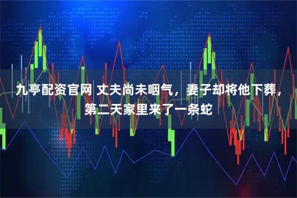 九亭配资官网 丈夫尚未咽气，妻子却将他下葬，第二天家里来了一条蛇