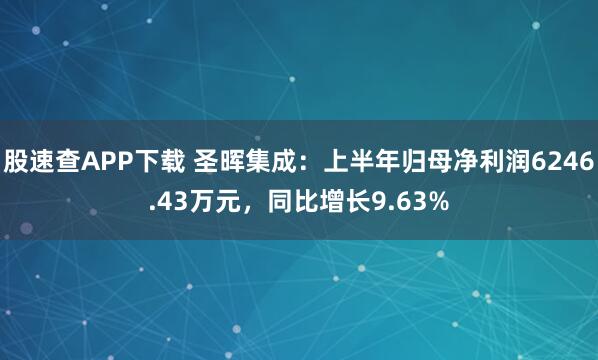 股速查APP下载 圣晖集成：上半年归母净利润6246.43万元，同比增长9.63%