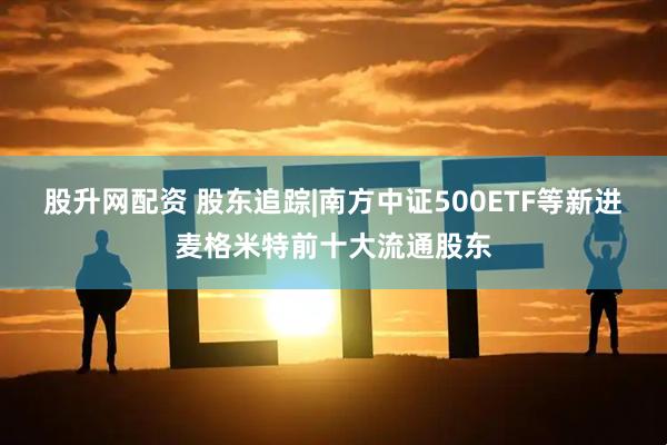 股升网配资 股东追踪|南方中证500ETF等新进麦格米特前十大流通股东